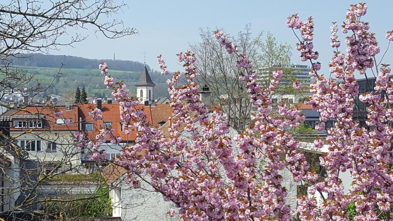 Villa Am Rosenfelspark Lörrach Zewnętrze zdjęcie