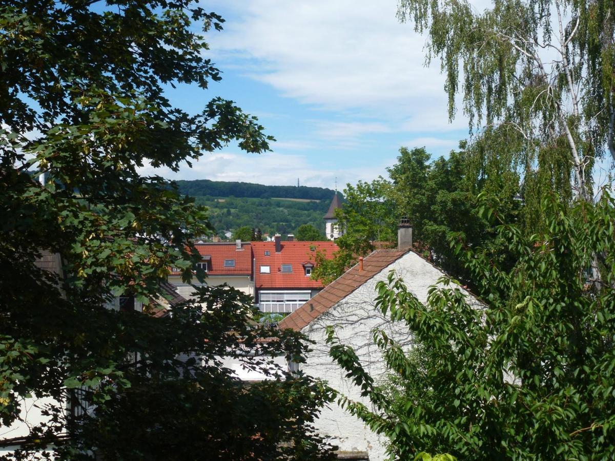 Villa Am Rosenfelspark Lörrach Zewnętrze zdjęcie