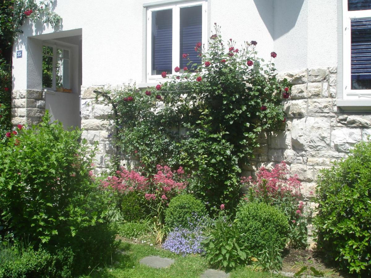 Villa Am Rosenfelspark Lörrach Zewnętrze zdjęcie