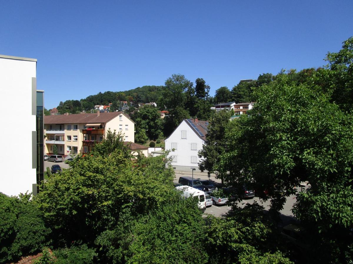 Villa Am Rosenfelspark Lörrach Zewnętrze zdjęcie
