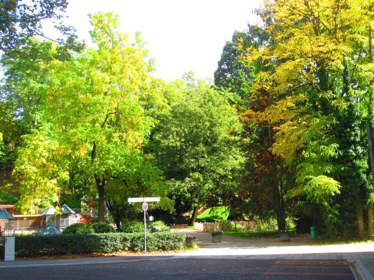 Villa Am Rosenfelspark Lörrach Zewnętrze zdjęcie